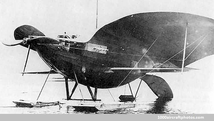 Curtiss-Goupil Duck