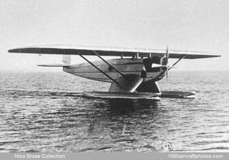 Dornier Do D