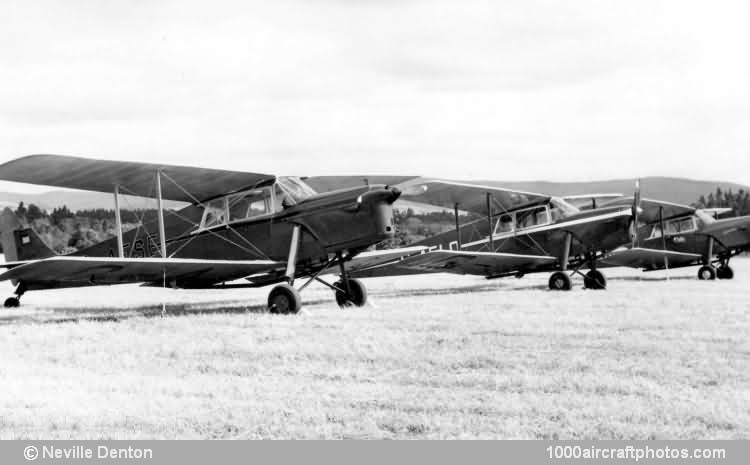 de Havilland D.H.87B Hornet Moth