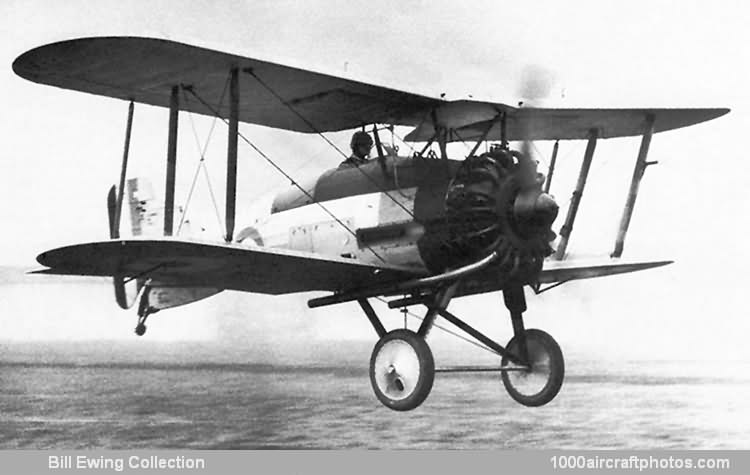 Gloucestershire Aircraft Gamecock Mk.I
