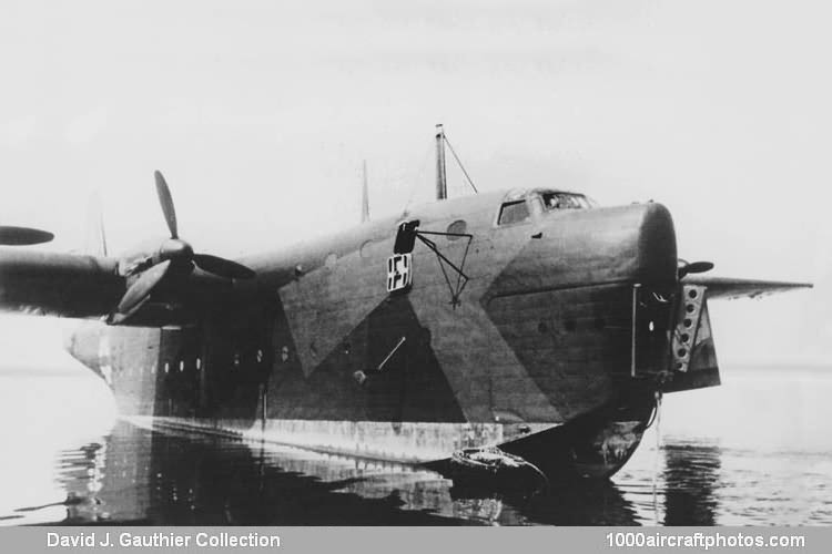 Blohm & Voss BV 238 V1