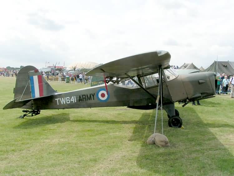 Beagle A.61 Terrier Srs.2