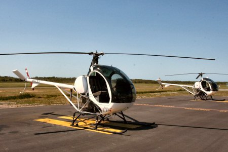 Schweizer 269C1