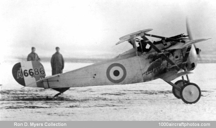 Nieuport Triplane