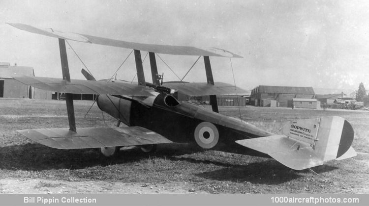 Sopwith Triplane