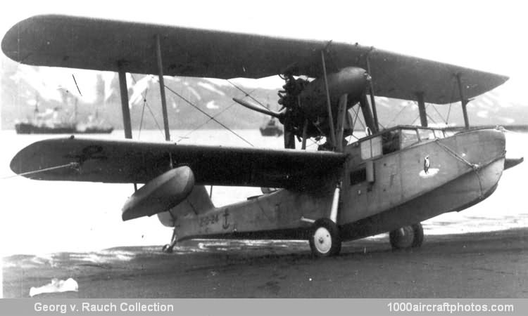 Supermarine 236 Walrus