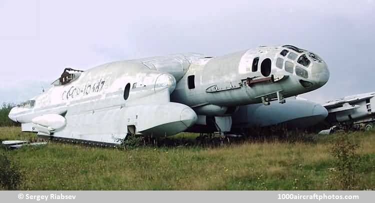 Beriev VVA-14