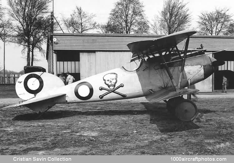 Albatros L-24 D.V