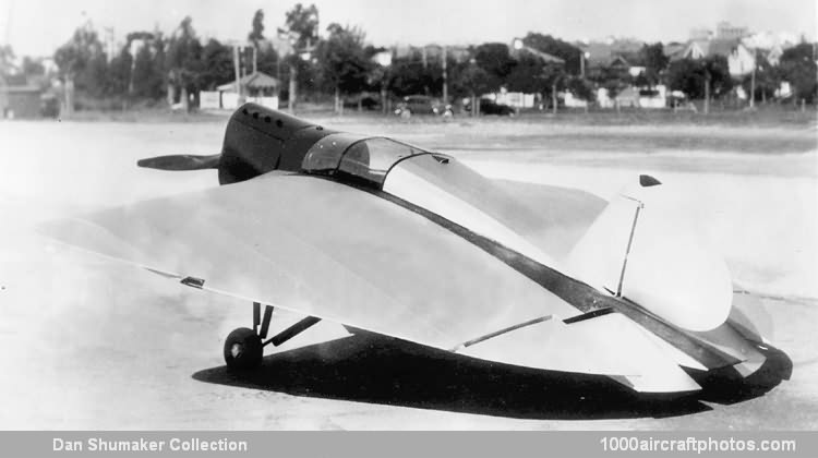 Hoffman-Younghusband Flying Wing