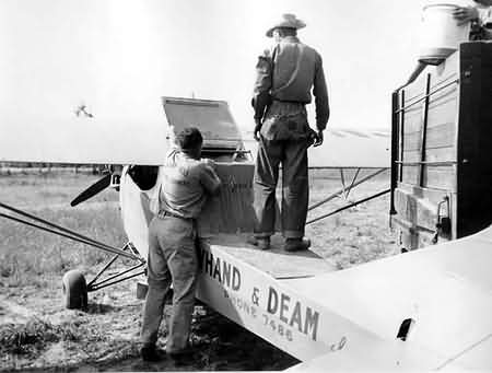 Piper Cutback Cub