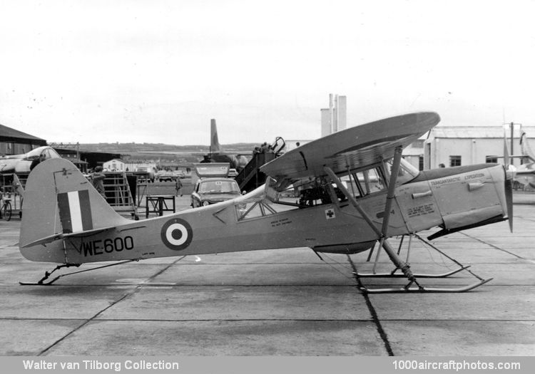 Auster Q T.Mk.7