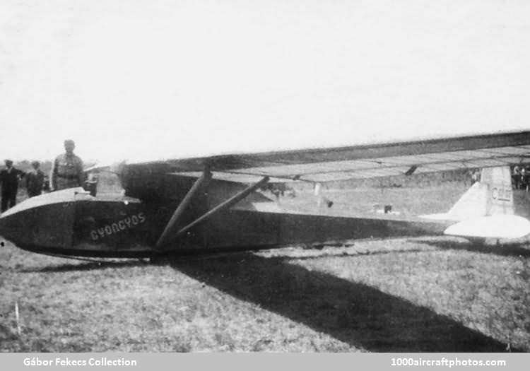 Deutsches Forschungsinstitut fr Segelflug Professor