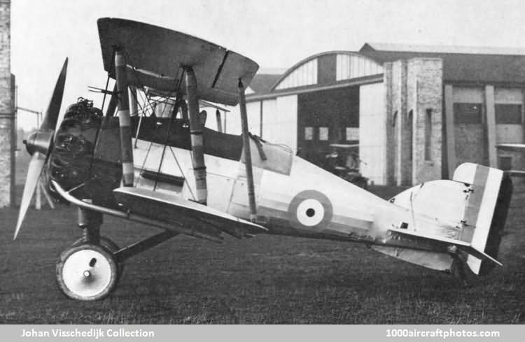 Gloucestershire Aircraft Gamecock Mk.I