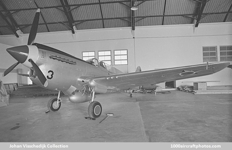 Curtiss 87W P-40N Warhawk