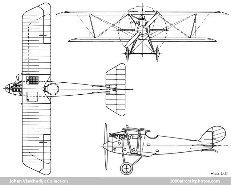 Pfalz D.III