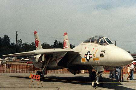 Grumman G-303 F-14 Tomcat