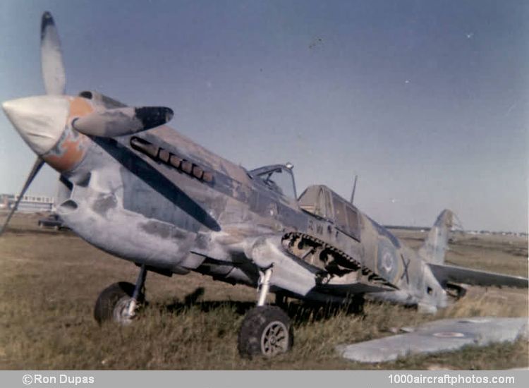 Curtiss 87A-2 Kittyhawk Mk.I