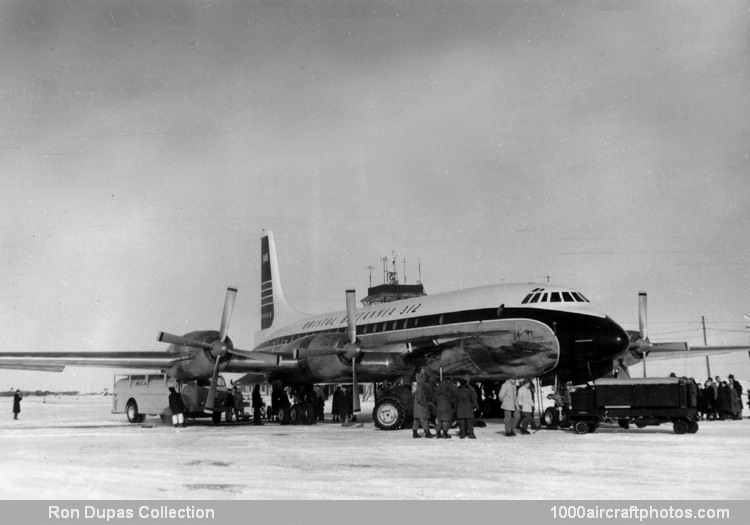 Bristol 175 Britannia 312